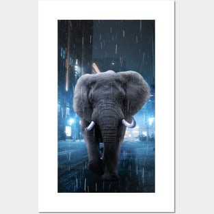 Elephant in the Rain Posters and Art